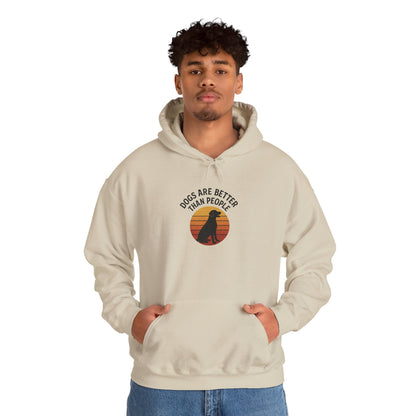 Retro Labrador Hoodie – Vintage Sunset Dog Lover Sweatshirt