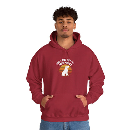 Retro Labrador Hoodie – Vintage Sunset Dog Lover Sweatshirt